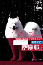 微笑天使 萨摩耶犬