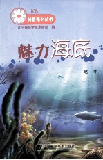 魅力海底