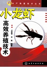 小龙虾高效养殖技术