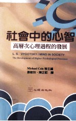 社会中的心智 高层次心理过程的发展
