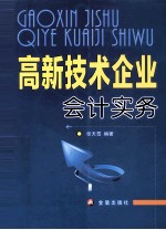 高新技术企业会计实务