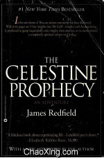 THE CELESTINE PROPHECY AN ADVENTURE