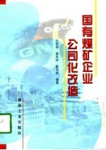 国有煤矿企业公司化改造