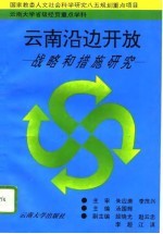 云南沿边开放 战略和措施研究