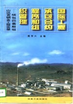 国际工程承包合约程序和组织管理 统包巴基斯坦山达克铜金工程实录