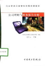 公司理财与财务报告分析
