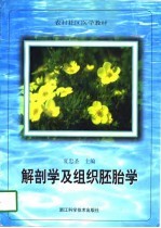 解剖学及组织胚胎学