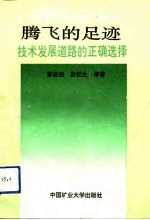 腾飞的足迹 技术发展道路的正确选择