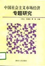 中国社会主义市场经济专题研究