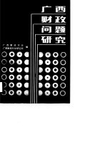 广西财政问题研究