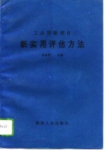 工业贷款项目新实用评估方法