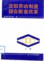 沈阳劳动制度综合配套改革 上