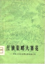 红旗渠畔大寨花 林县人民农业学大寨经验介绍