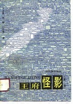 王府怪影(系列)
