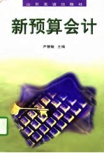 新预算会计