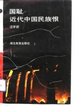 国耻:近代中国民族恨