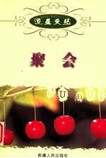 流星文丛 聚会