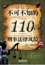 生活中不可不知的110个刑事法律风险 第2版 最新修订版