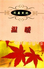 流星文丛 温暖