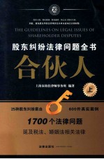 合伙人 股东纠纷法律问题全书 上
