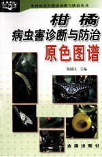 柑橘病虫害诊断与防治原色图谱