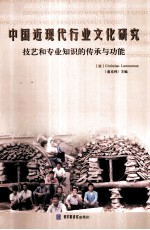 中国近现代行业文化研究：技艺和专业知识的传承与功能