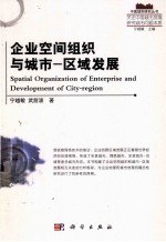 企业空间组织与城市——区域发展
