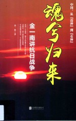 魂兮归来 金一南讲抗日战争