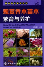观赏乔木苗木繁育与养护