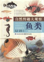 自然野趣大观察 鱼类 解读奇特的鱼类世界