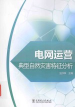 电网运营典型自然灾害特征分析