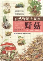自然野趣大观察 野菇 进入奇妙的大型真菌世界