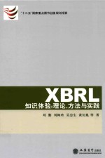 XBRL知识体验 理论、方法与实践