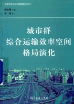 交通地理与空间规划研究丛书 城市群综合运输效率空间格局演化