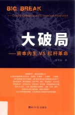 大破局 资本内生VS杠杆革命