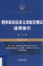 刑事诉讼法条文及配套规定适用指引 下