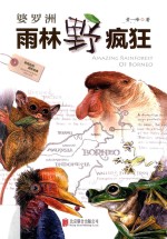 婆罗洲雨林野疯狂 探秘“地球基因库”的物种传奇