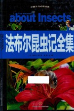 法布尔昆虫记全集 全优新版