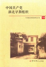 中国共产党湖北早期组织 下