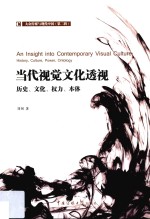 当代视觉文化透视