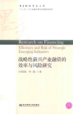 战略性新兴产业融资的效率与风险研究