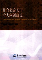 社会稳定若干重大问题研究
