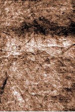 碑别字拾遗