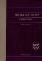 国际储备和外币流动性 数据模板填写指南