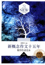 飞扬 新概念作文十五年精华作者范本 B卷 新概念十五周年精华版