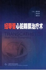 经导管心脏瓣膜治疗术