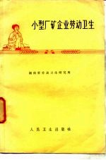 小型厂矿企业劳动卫生