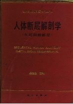 人体断层解剖学 矢冠斜断断层