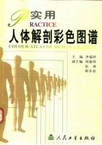 实用人体解剖彩色图谱