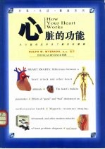 心脏的功能 从心脏的运作去了解你的健康